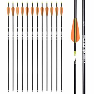 Carbon Arrow Hunting Arrows